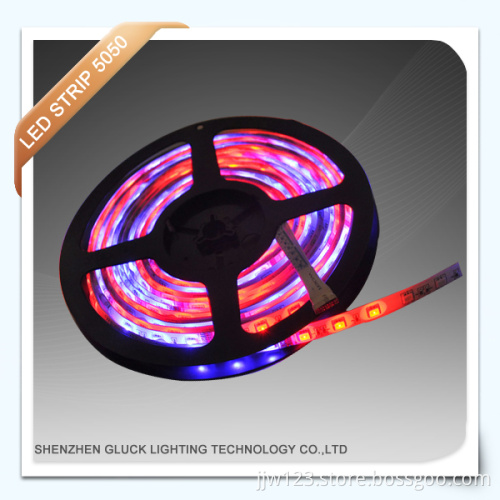 5050 Single Clour W. G. B. R LED Pixel Strips